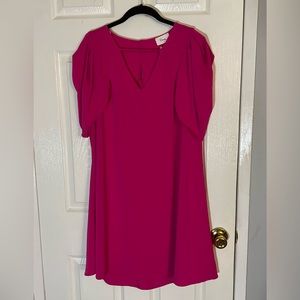 BRAND NEW WITH TAGS Pink Shift Dress Petal Shaped Sleeves
